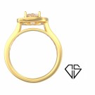 TAYLOR 5CT thumbnail