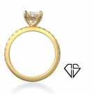 ARIANA 5CT thumbnail