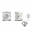 SELENA 6CT thumbnail