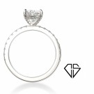 ARIANA 2,5CT thumbnail