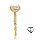 ARIANA 3,5CT thumbnail